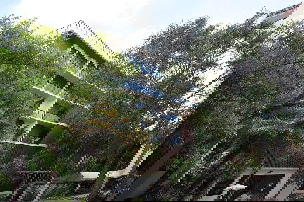 The Fairchild Coconut Grove  photo 2